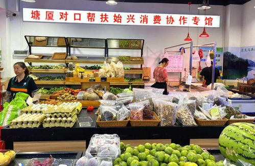 韶關始興百種優質農副產品直達東莞塘廈，打開食品銷售新篇章